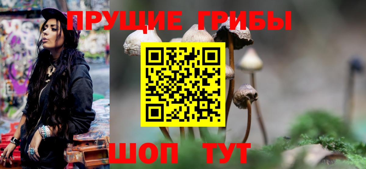 Галлюциногенные грибы Cubensis Борзя